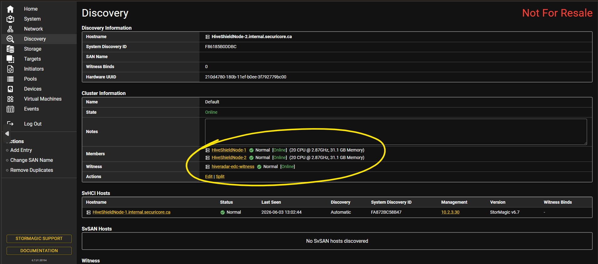 Discovery screen — both nodes healthy, witness connected